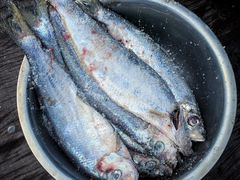 -芦潮港集贸市场