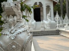 -西双版纳傣族园