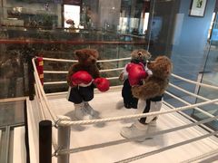 -济州岛泰迪熊博物馆