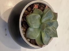 -Peet's Coffee皮爷咖啡(上海长风大悦城店)