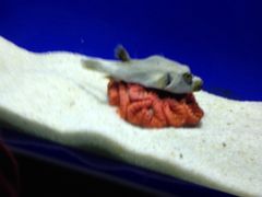 -洛阳龙门海洋馆