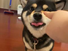 -叶新小吃店(来凤小区总店)