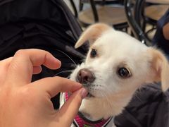 -CRAZYONES西班牙海鲜饭(上海美罗城店)