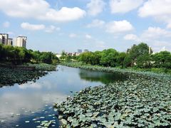 景点-新江湾城公园
