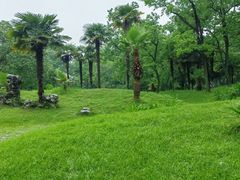 -杭州植物园