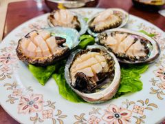 鲜活小鲍鱼-金龙·打边炉(武进路店)