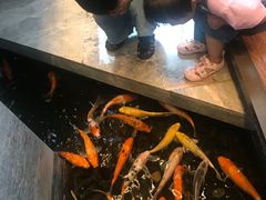 -深圳隐秀山居酒店