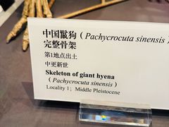 -北京周口店北京人遗址博物馆