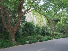 -紫金山天文台