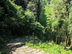-黄檀硐景区