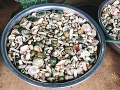 -双喜农庄·菌香园(安居家园店)