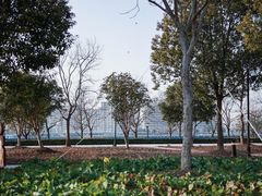 -上海山野camping·户外天幕烧烤·团建拓展营地