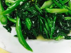 -蚝家菜馆(沙井店)