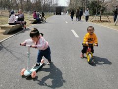 -长白岛森林公园