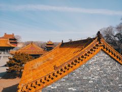-北陵公园