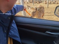 -南京金牛湖风景区