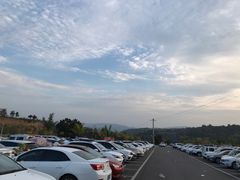 -渭南桃花源民俗文化园