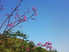 -小南山公园