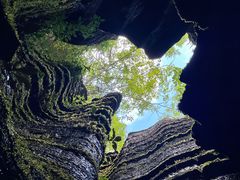 -梭布垭石林景区