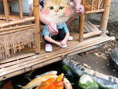 -上海大自然野生昆虫馆(东方明珠·爬宠昆虫探索中心)