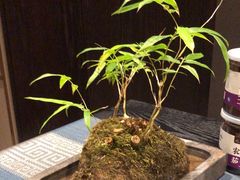 -忆江南·临江鱼馆