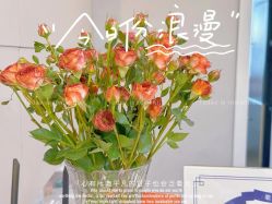-YZ誉株·塑颜美容中心