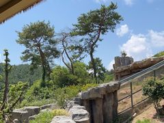 -宁波野生动物园