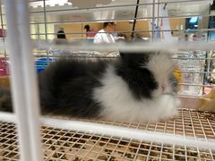 -乐宠宠物店(世纪金源店)