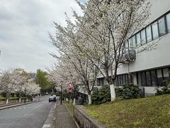 -浙江大学(玉泉校区)