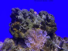 -青岛海底世界-水族馆