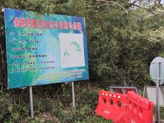 -四明湖