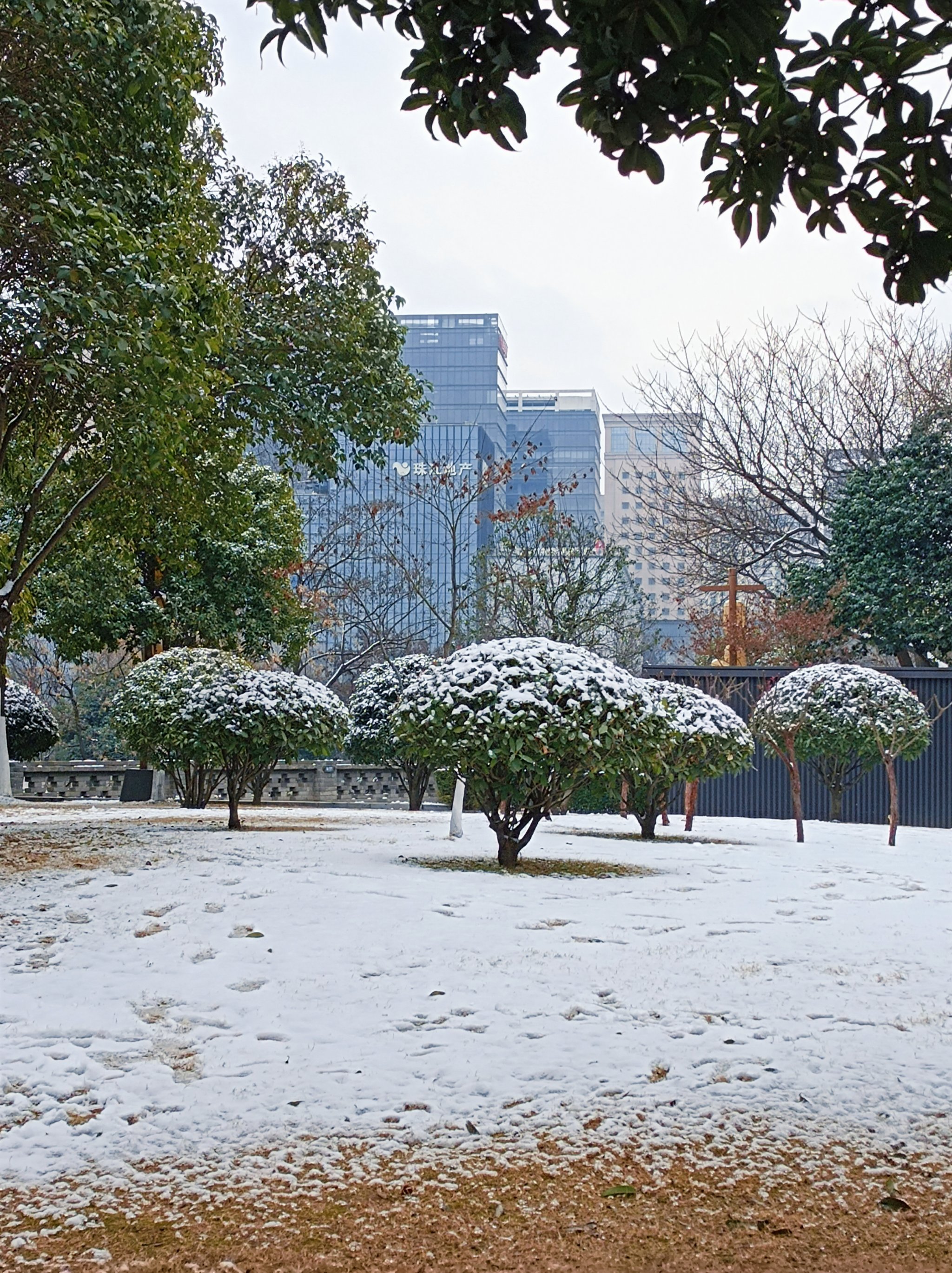 城市下雪天图片大全图片