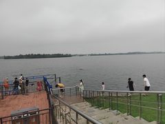 -丁香湖公园