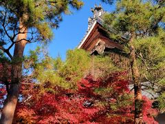 -天龙寺