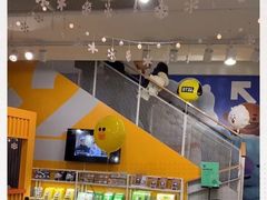 -line friends(明洞旗舰店)