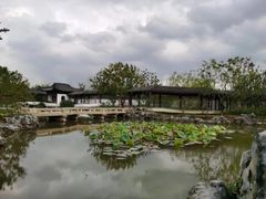 -上海滨江森林公园