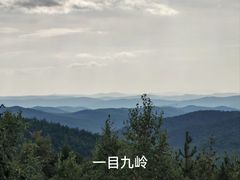 -莫尔道嘎国家森林公园