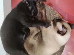 -天虹购物中心(深圳龙华店)