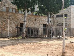 -石家庄市动物园