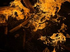 -呈贡滇池生态湿地公园