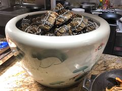 -嘉定凯悦·咖啡厅