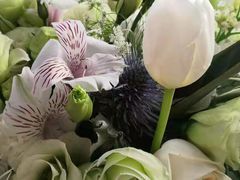 -ChaKo Flora ·茶子花艺 (市北店)
