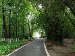 -桤木河湿地公园