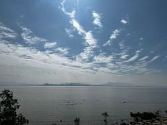-福田红树林生态公园