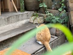 -悟饮门市景店
