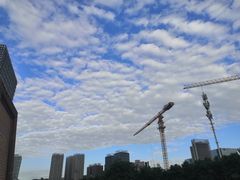 -木塔寺遗址生态公园