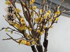 -颐缘居·南翔小笼馆