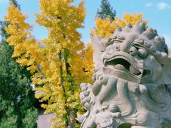 -函谷关历史文化旅游区