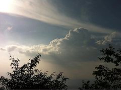 -武陵山森林公园