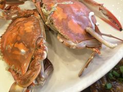 -合家小菜餐馆(新诚花苑店)